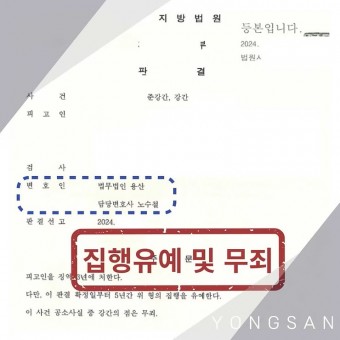 준강간 / 강간 - 집행유예 및 무죄